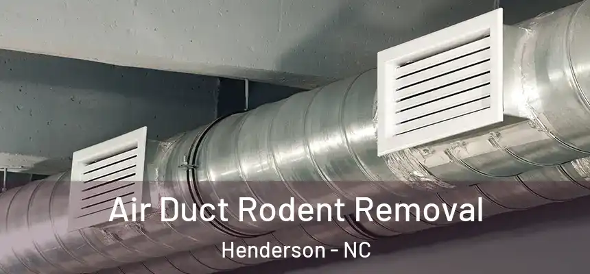  Air Duct Rodent Removal Henderson - NC