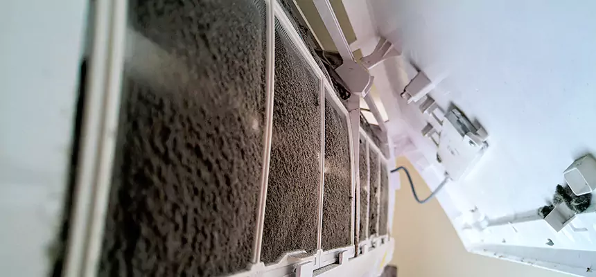 Preventive Air Duct Bacteria Removal in Henderson