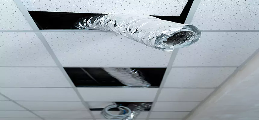 Affordable HVAC Sanitizing After Pest Removal in Henderson