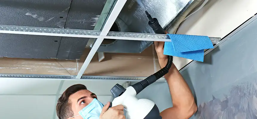Our Air Duct Rodent Removal Services in Henderson, NC