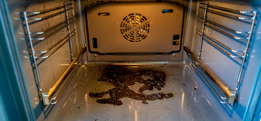 Our Dryer Vent Mold Cleaning Services in Henderson, NC