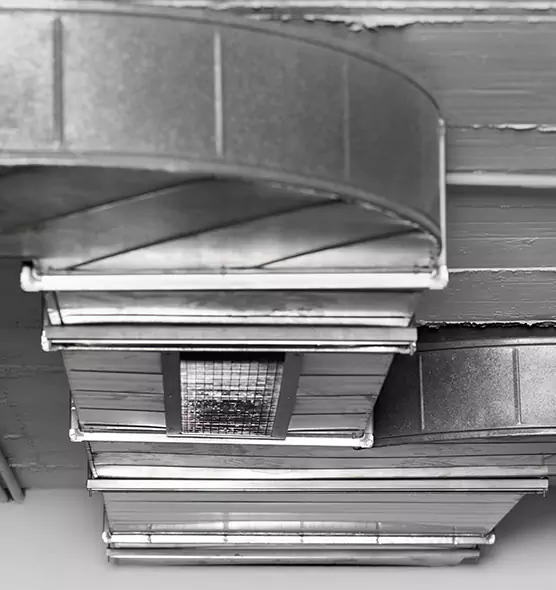 Professional Air Duct Pet Hair Removal in Henderson, NC