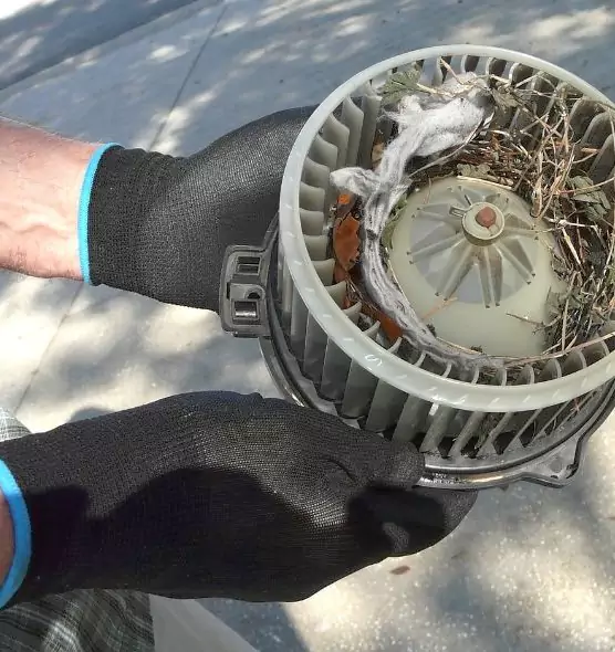 About Air Duct Rat Removal in Henderson, NC