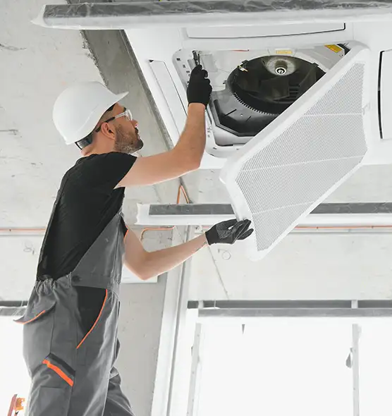 About Air Duct Rodent Removal in Henderson, NC