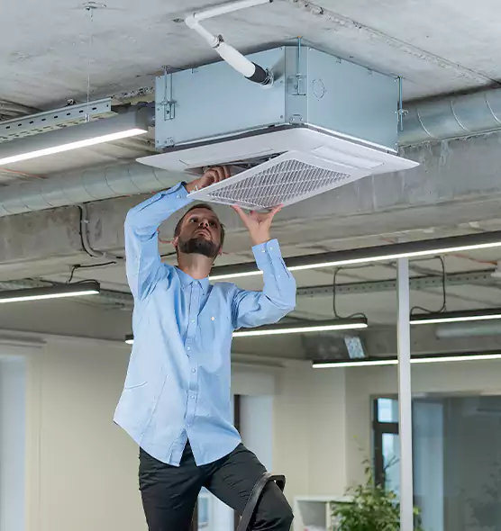 Advanced Rodent Droppings In Vents in Henderson, NC