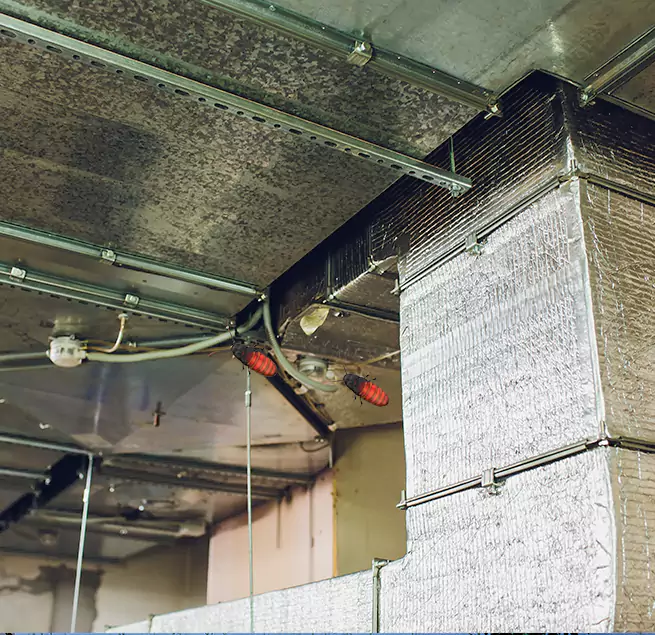 Why Homeowners & Businesses Trust Us in Henderson, NC?