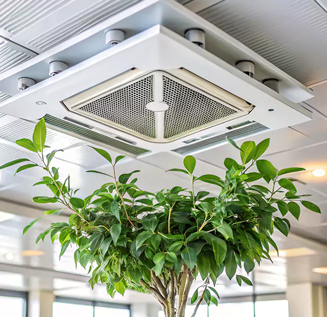 Why Homeowners & Businesses Trust Us in Henderson, NC?