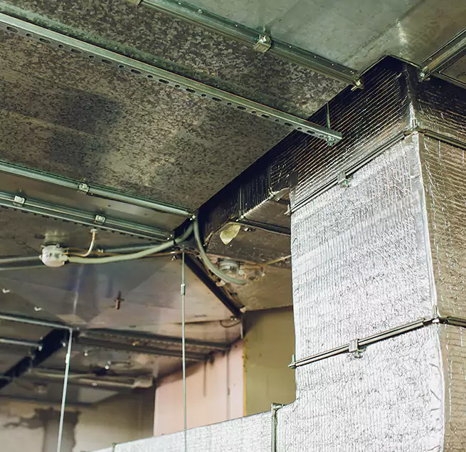 Why Homeowners & Businesses Trust Us in Henderson, NC?